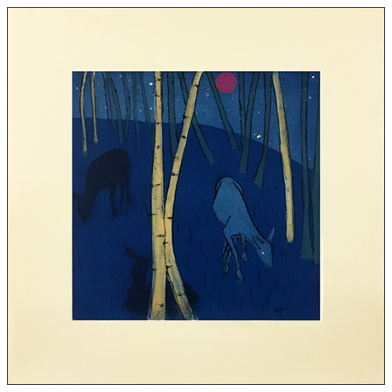 Night Forest
